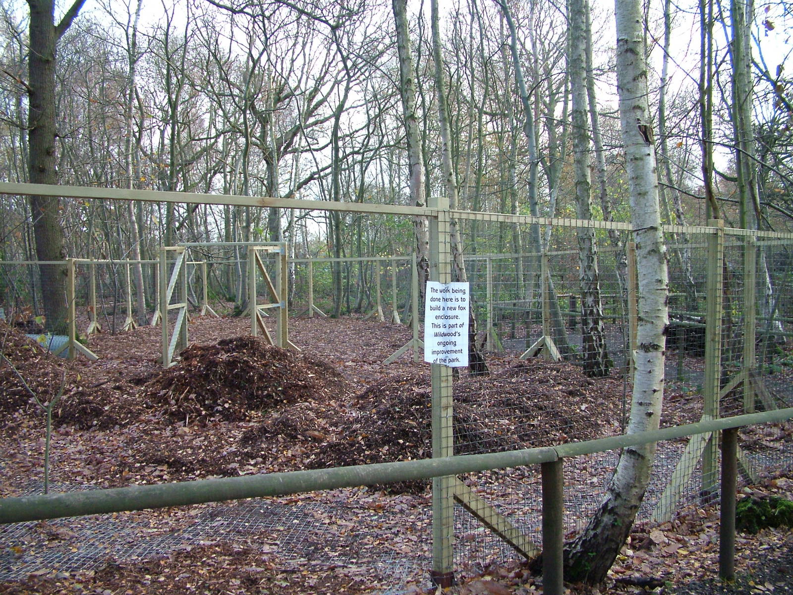 New red fox exhibit under contruction at Wildwood 28/11/09
