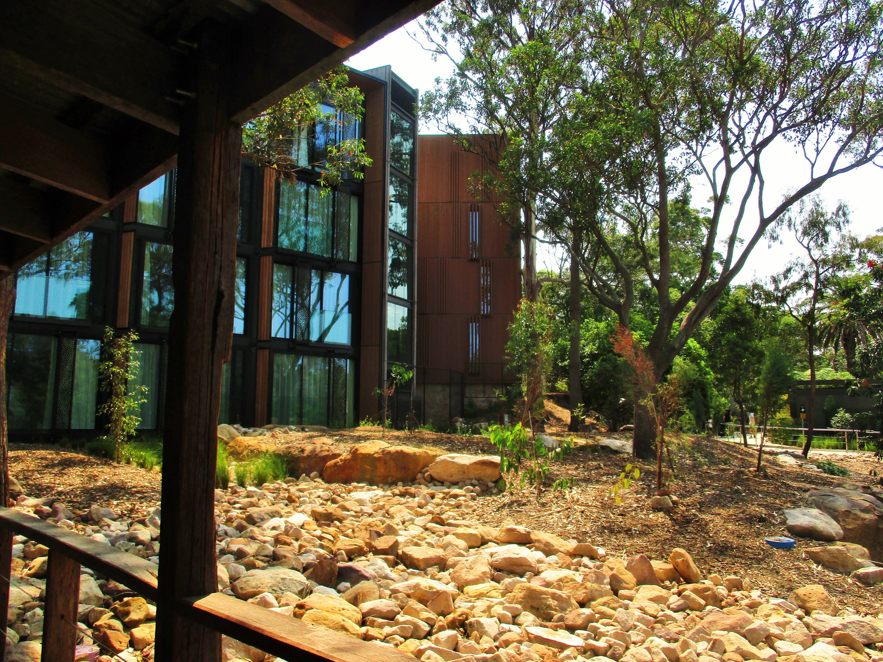 New Red Kangaroo Enclosure