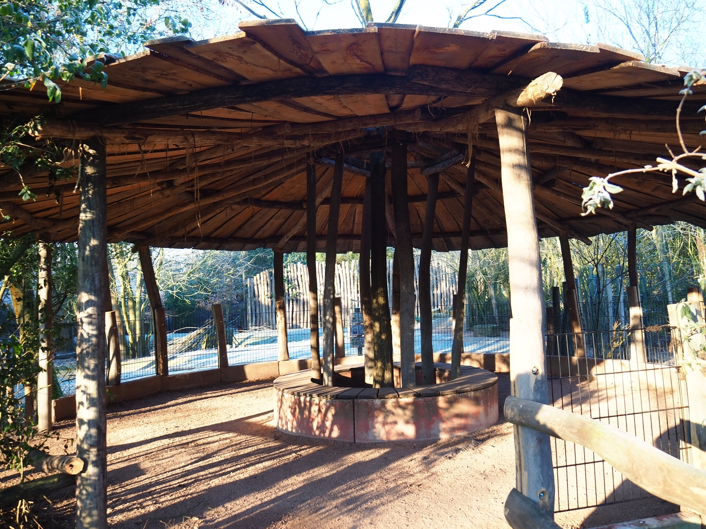 New Red kangaroo - Swamp wallaby - Emu viewing shelter (Jan 20th, 2019)