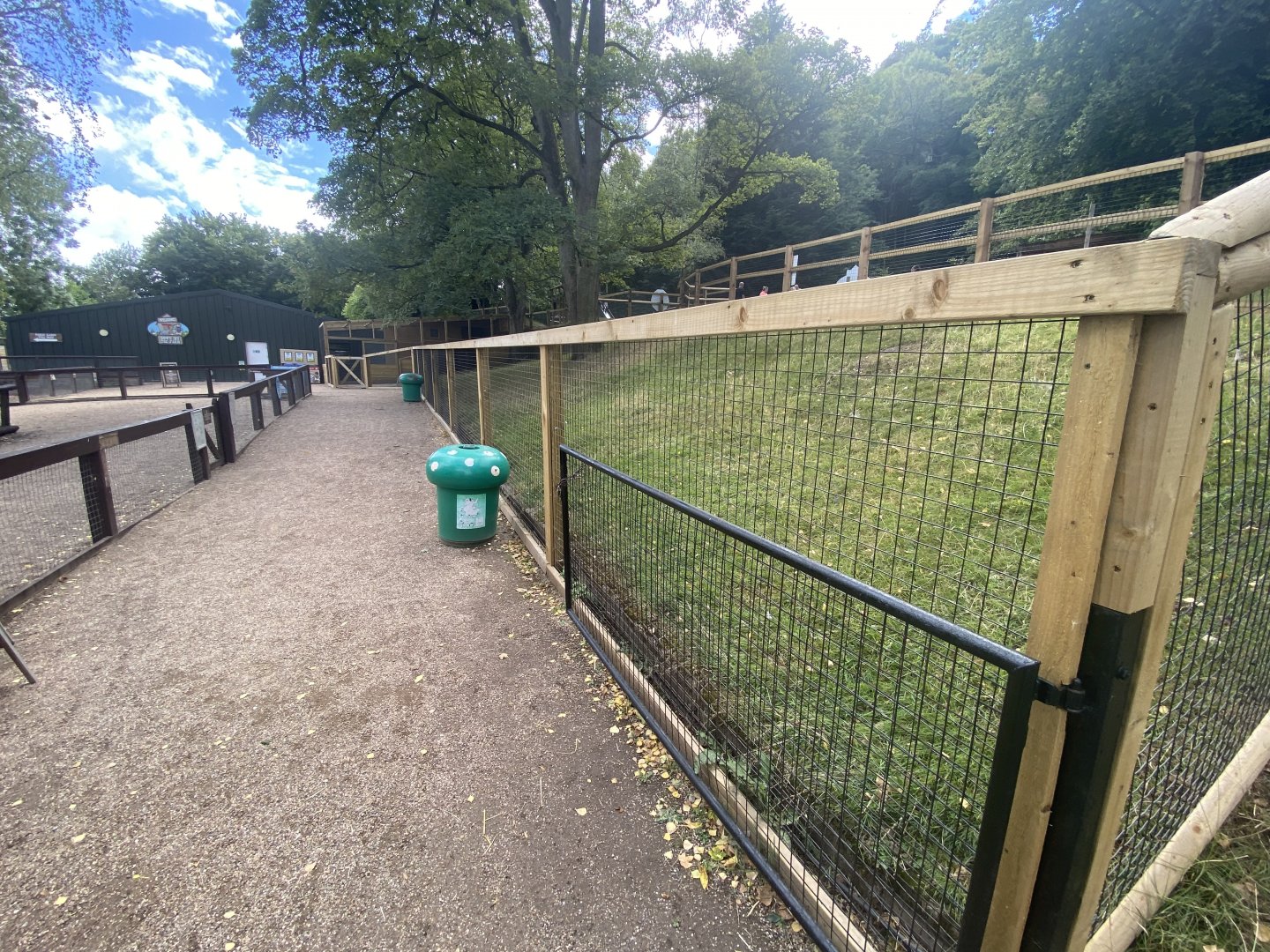 New red necked wallaby enclosure