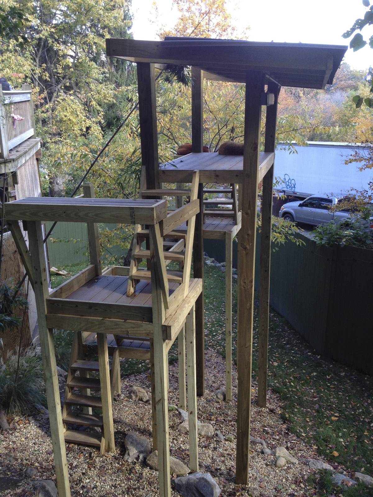 New Red Panda Climbing Apparatus