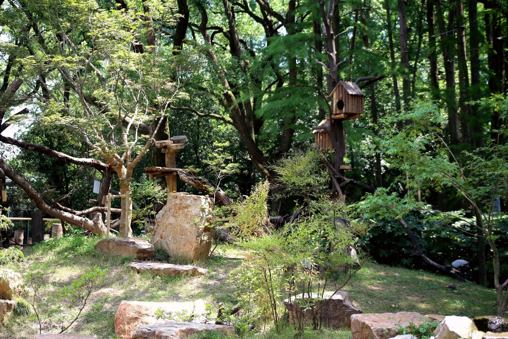 New Red Panda/ Demoiselle Crane Mixed Exhibit, East Island