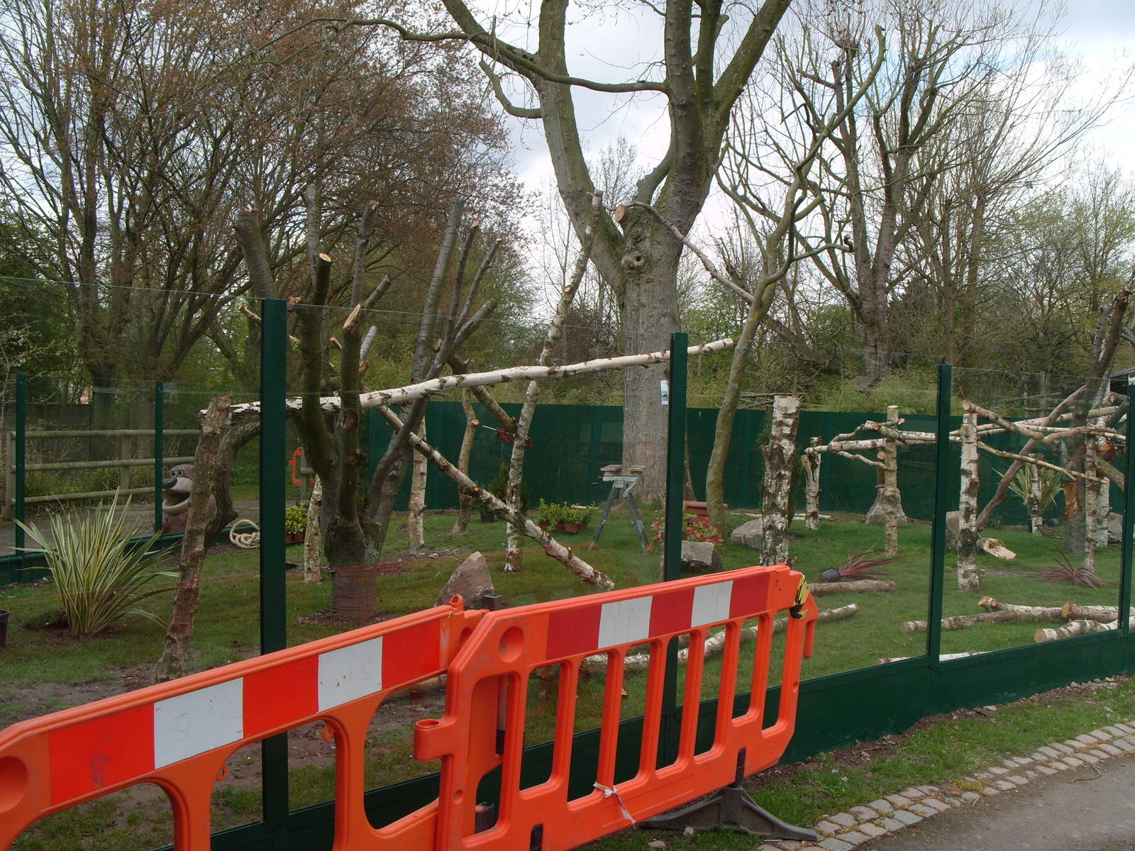 New Red Panda Enclosure