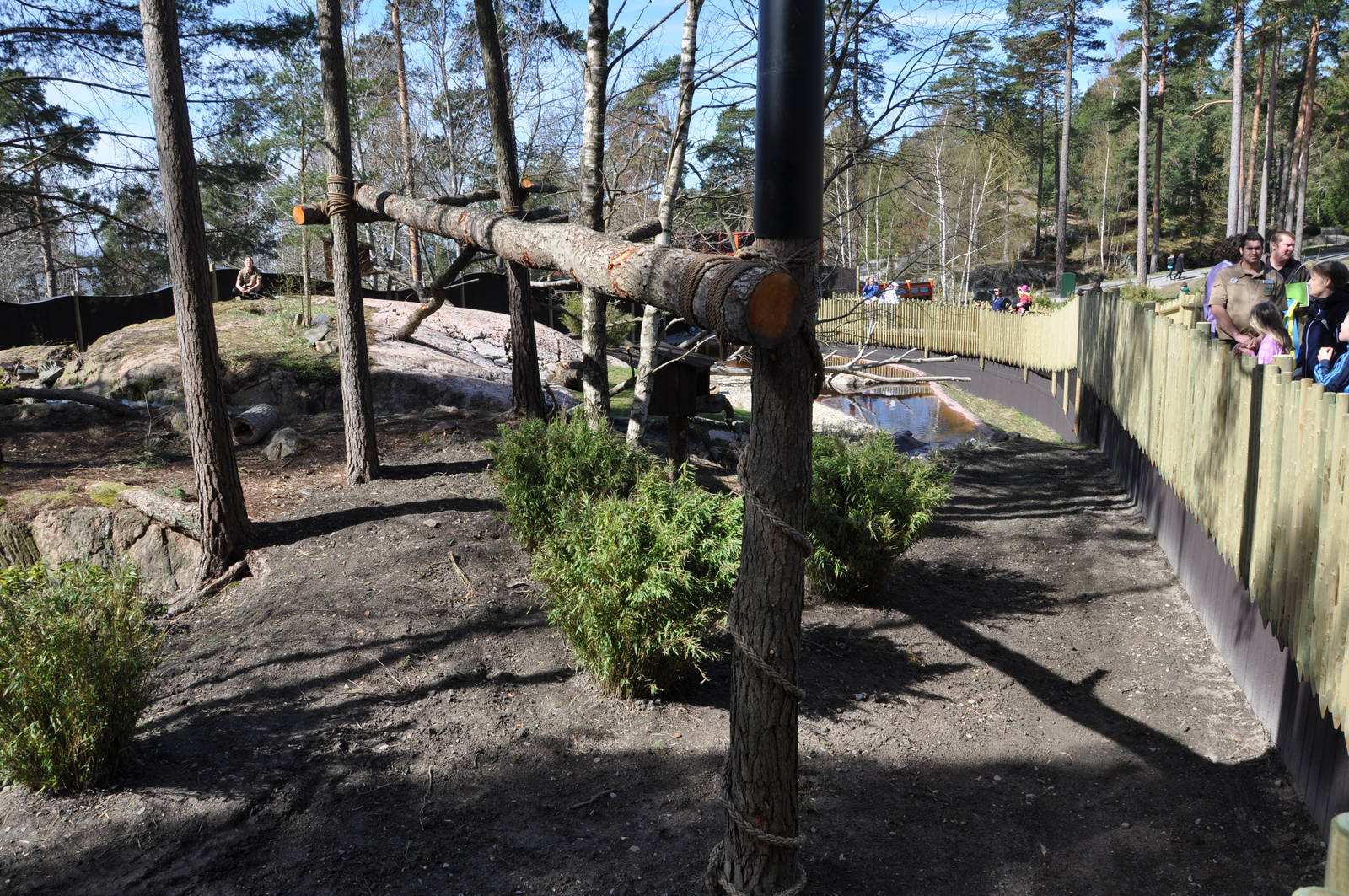 New red panda enclosure