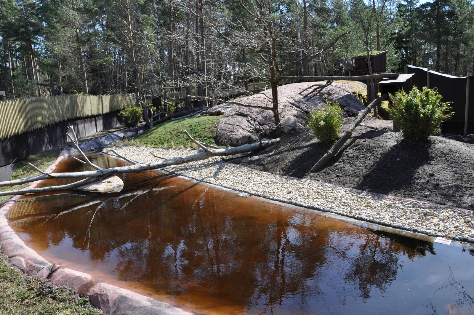 New red panda enclosure