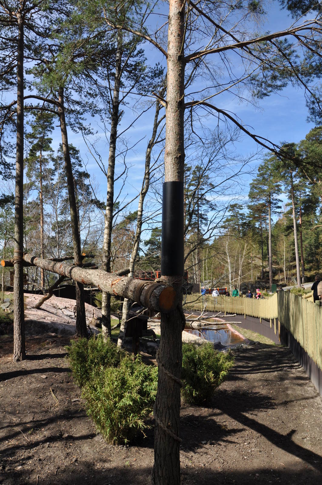 New red panda enclosure