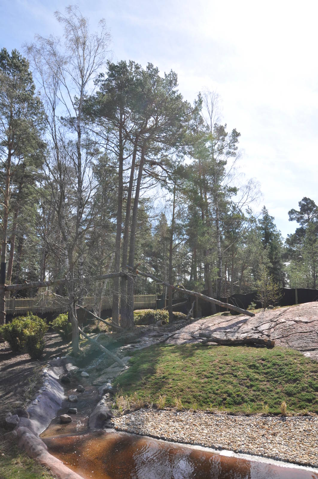 New red panda enclosure
