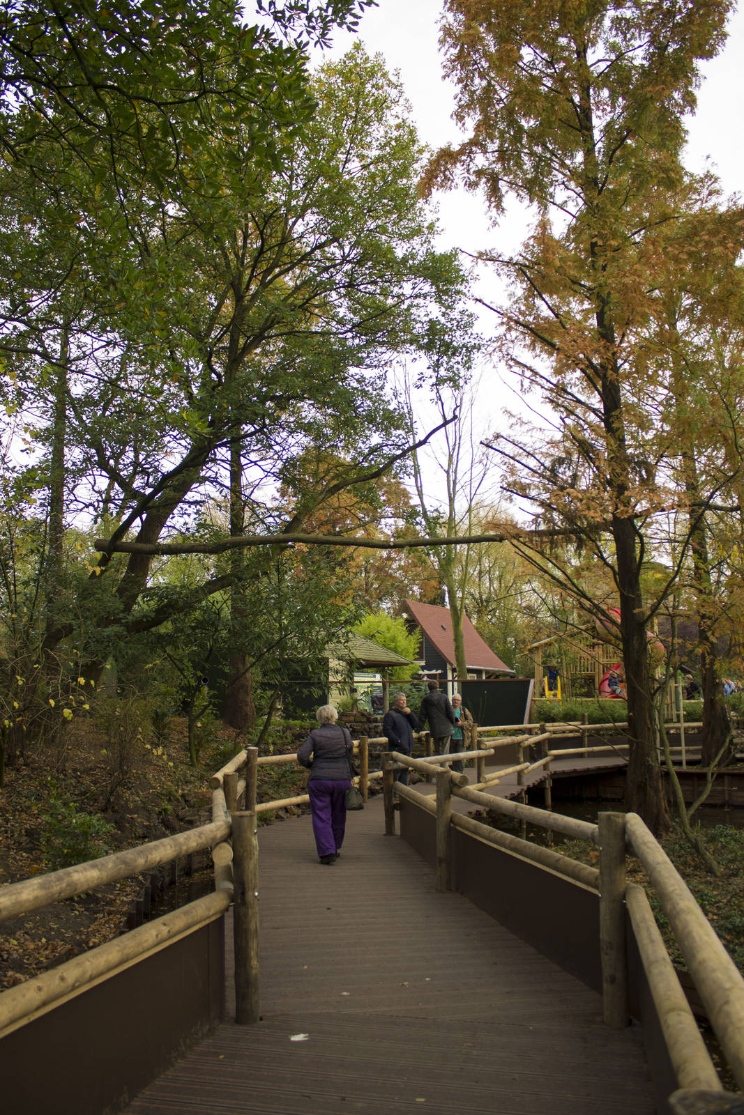 New red panda enclosure