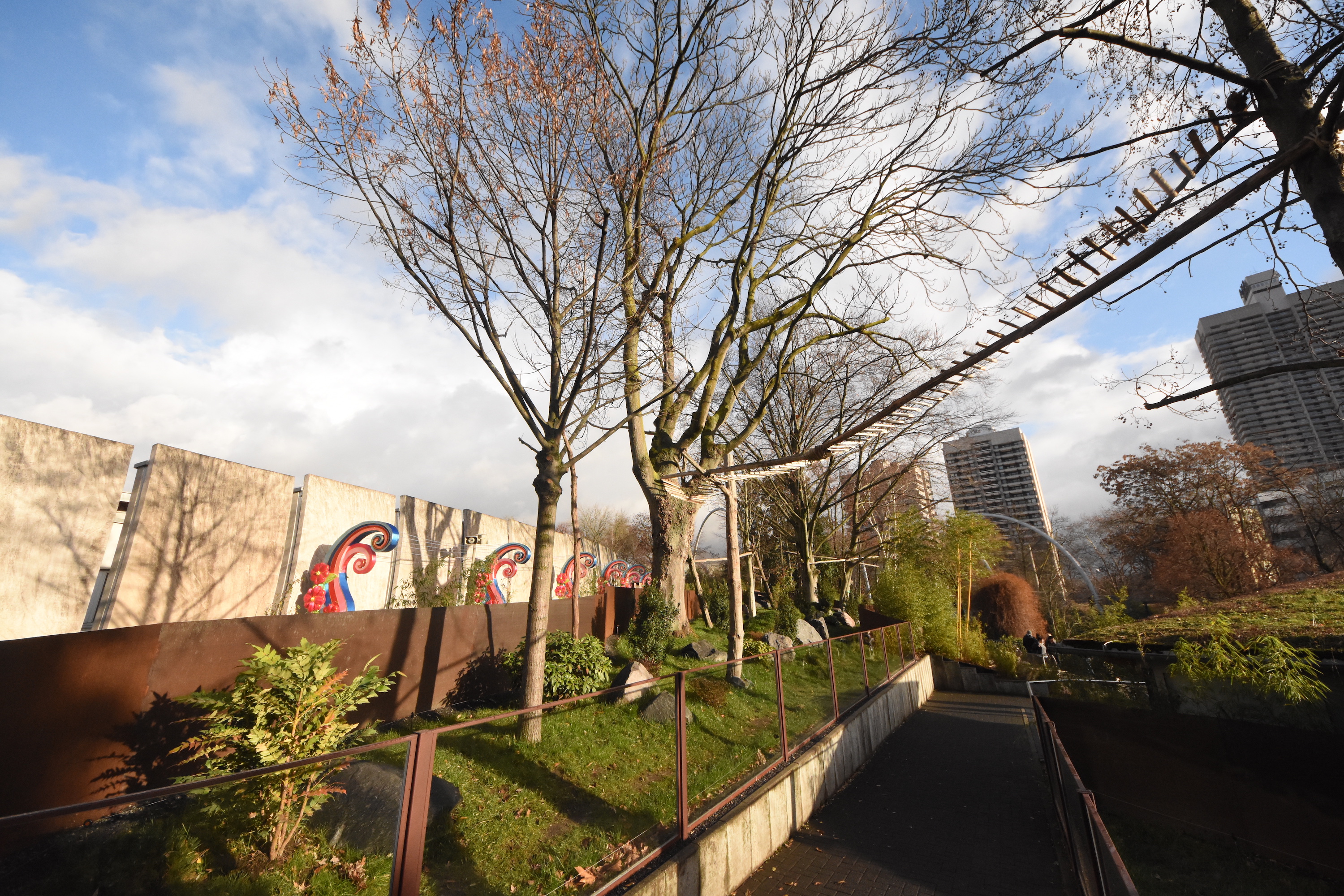 New Red panda enclosure