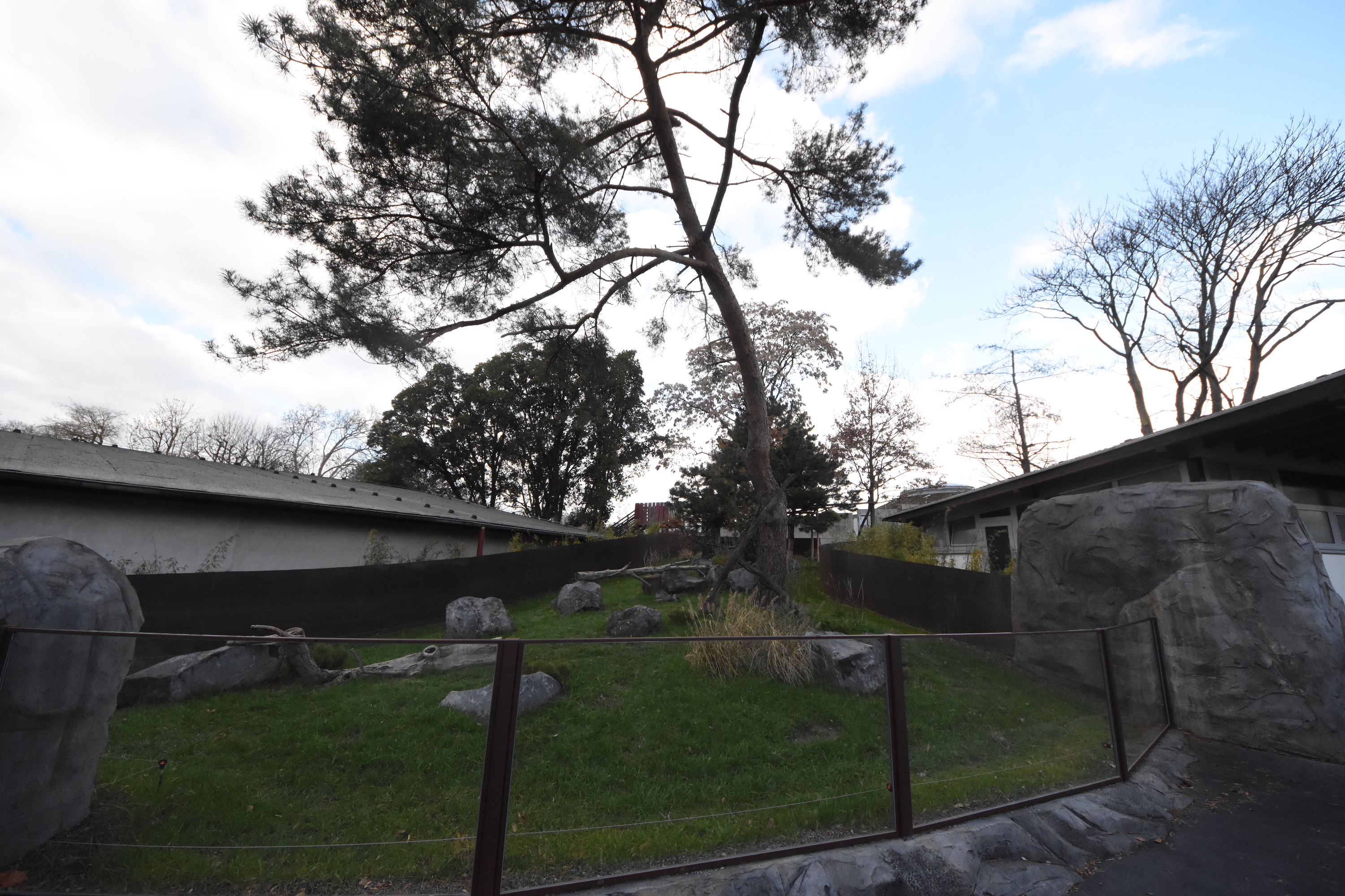 New red panda enclosure