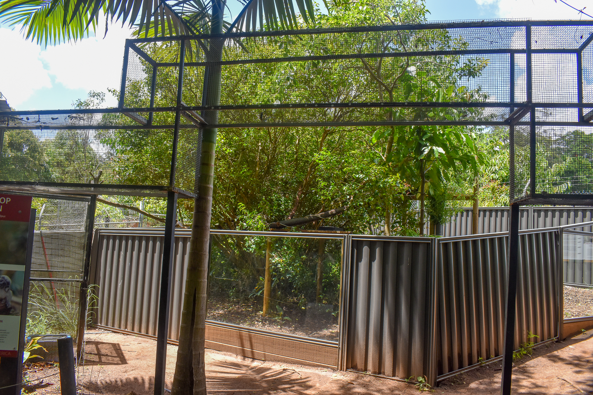 New Red Panda Enclosure