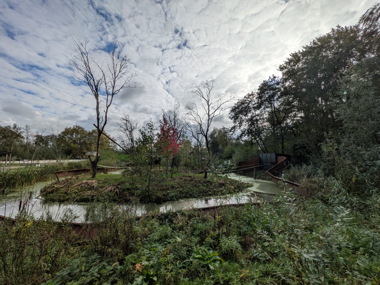 New red panda enclosure