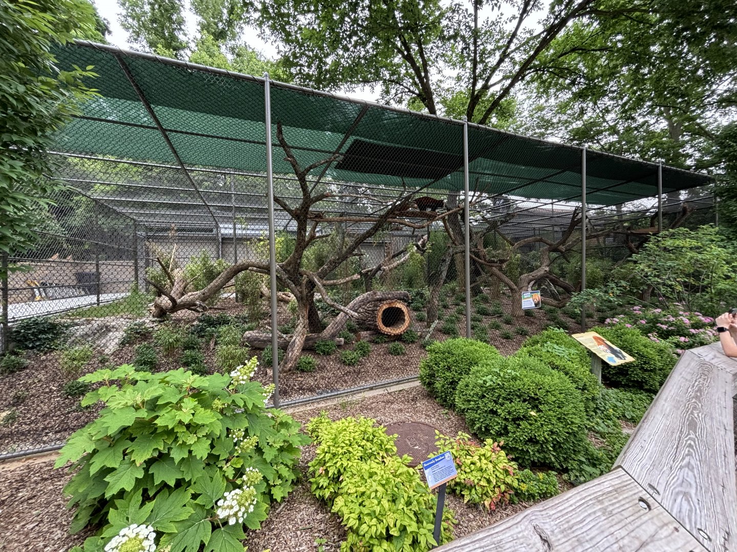 New Red Panda Exhibit, Former Jaguar