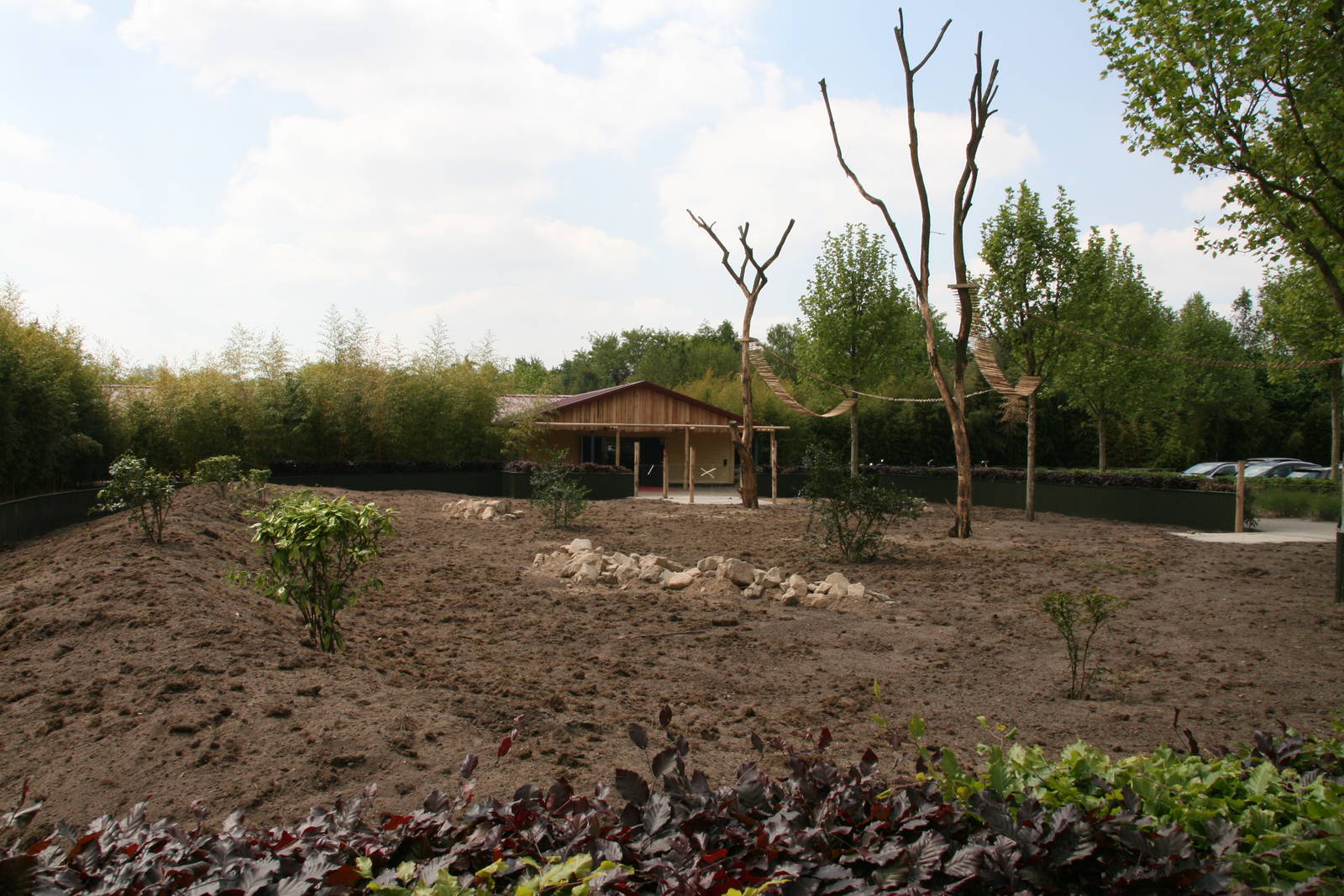 New red panda exhibit