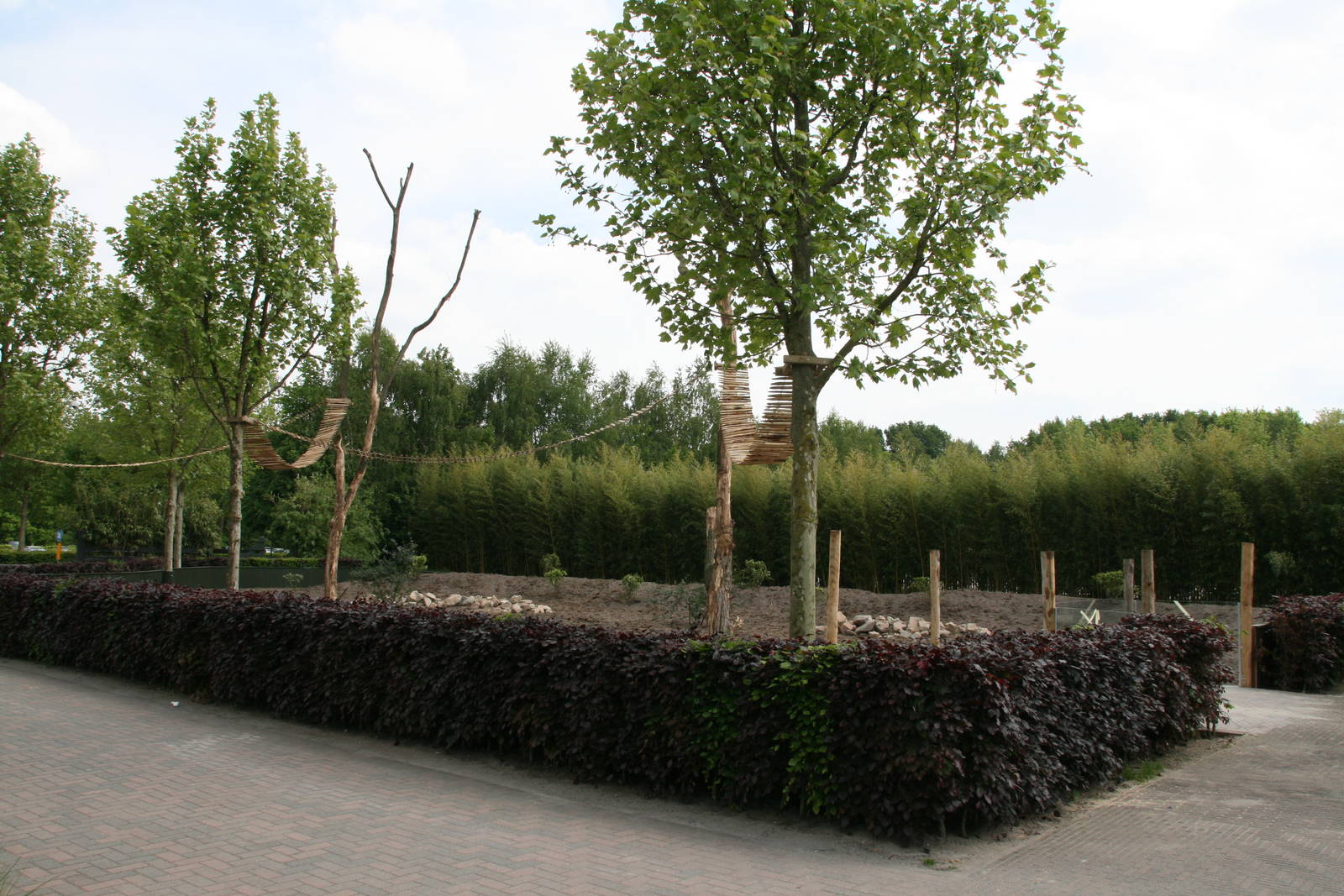 New red panda exhibit