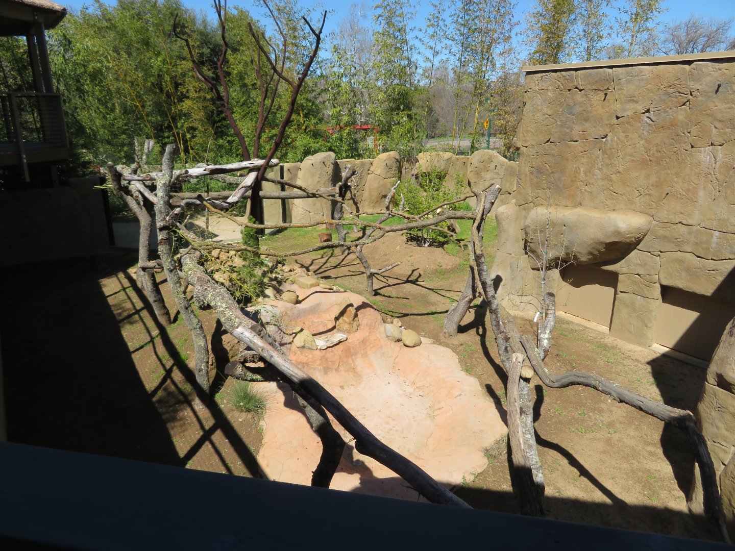 New Red Panda Exhibit