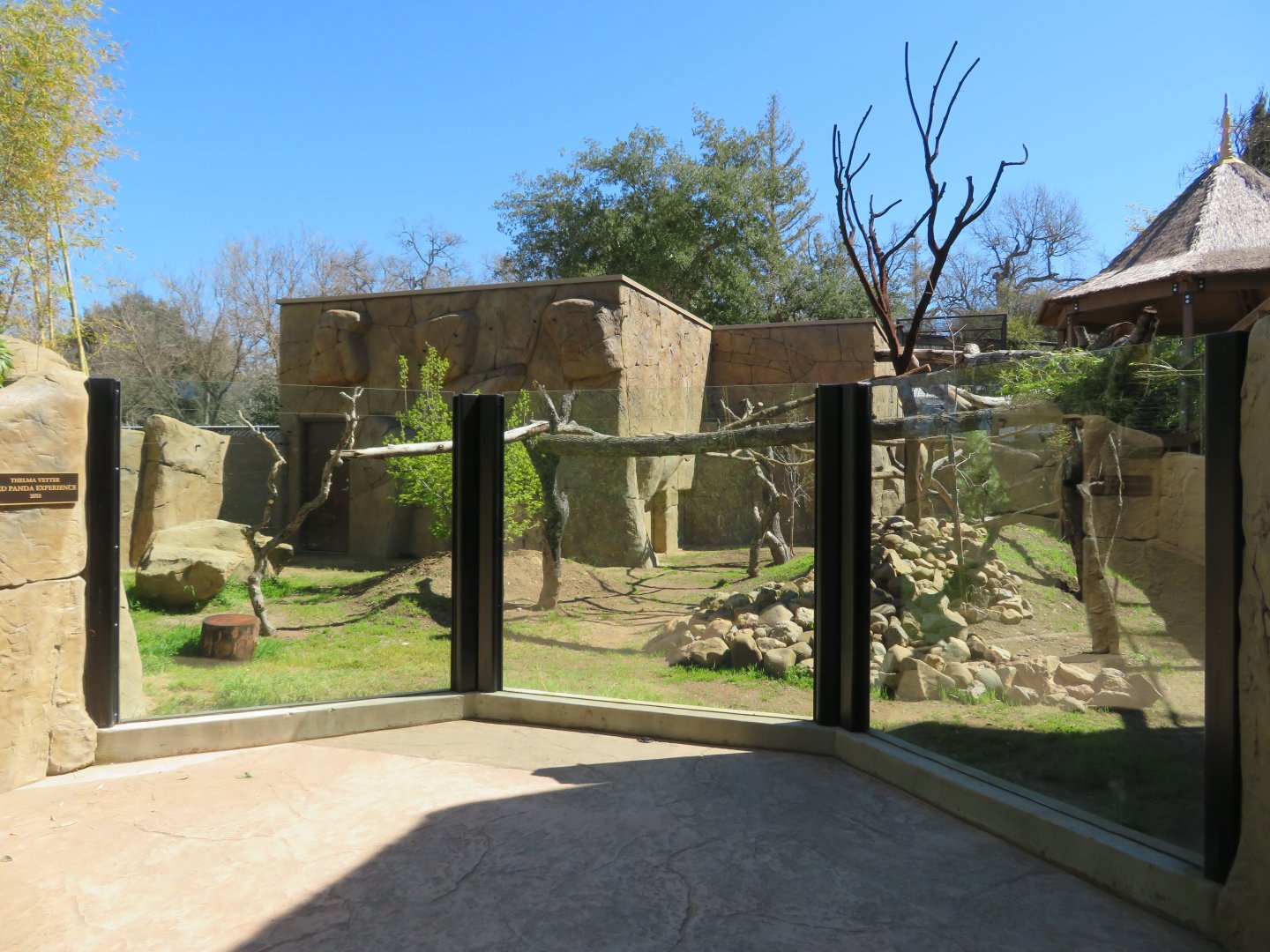 New Red Panda Exhibit