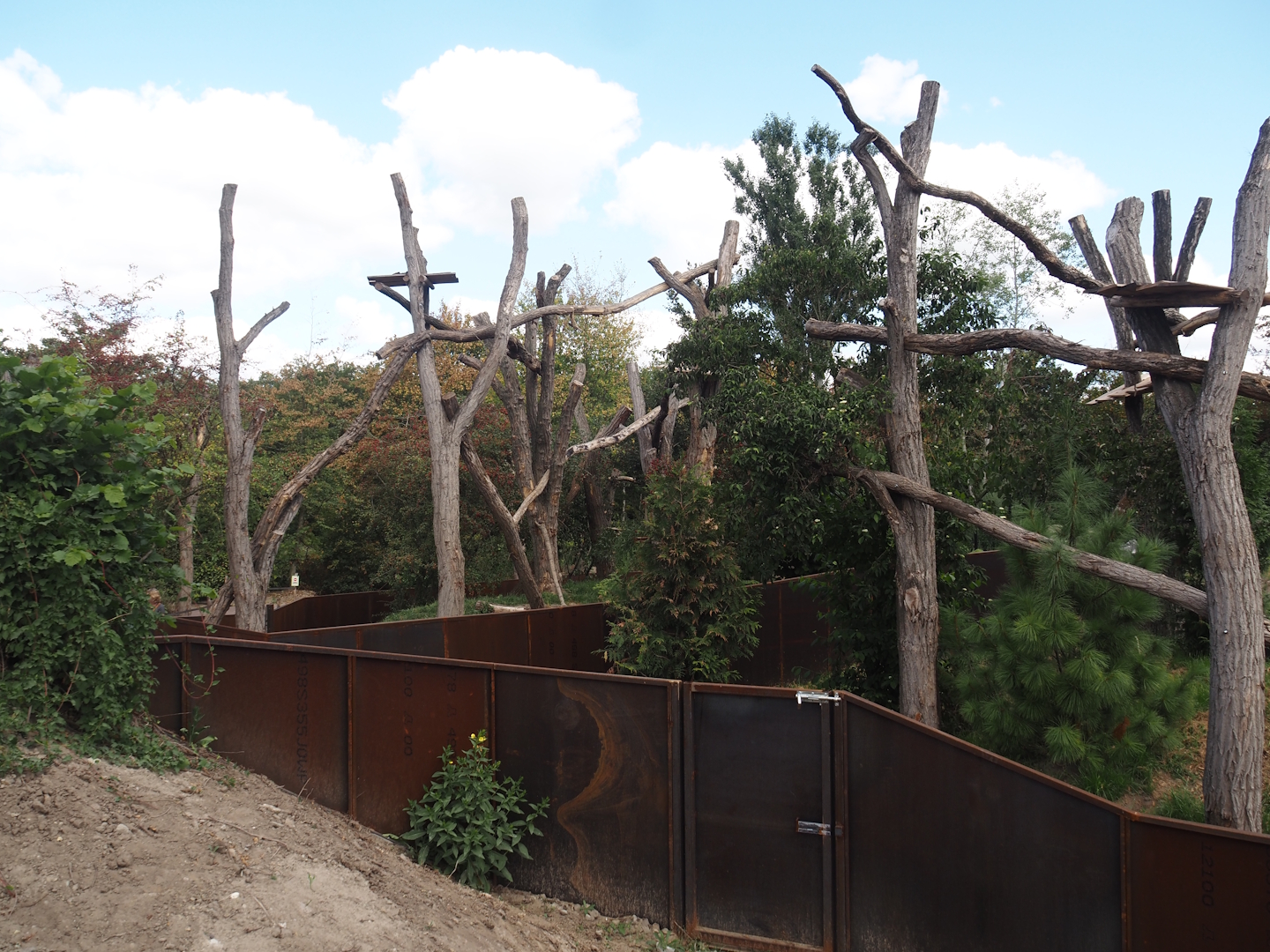 New red panda exhibits (Main exhibit on the left, secondary exhibit on the right), 2025-08-24