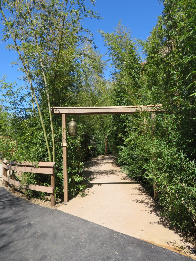 New Red Panda Side Trail