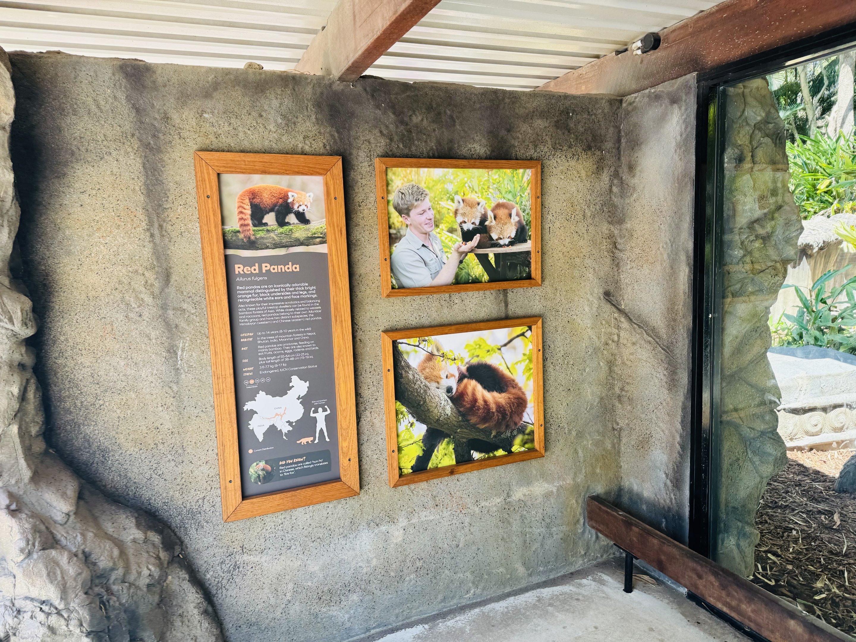 New red panda signage