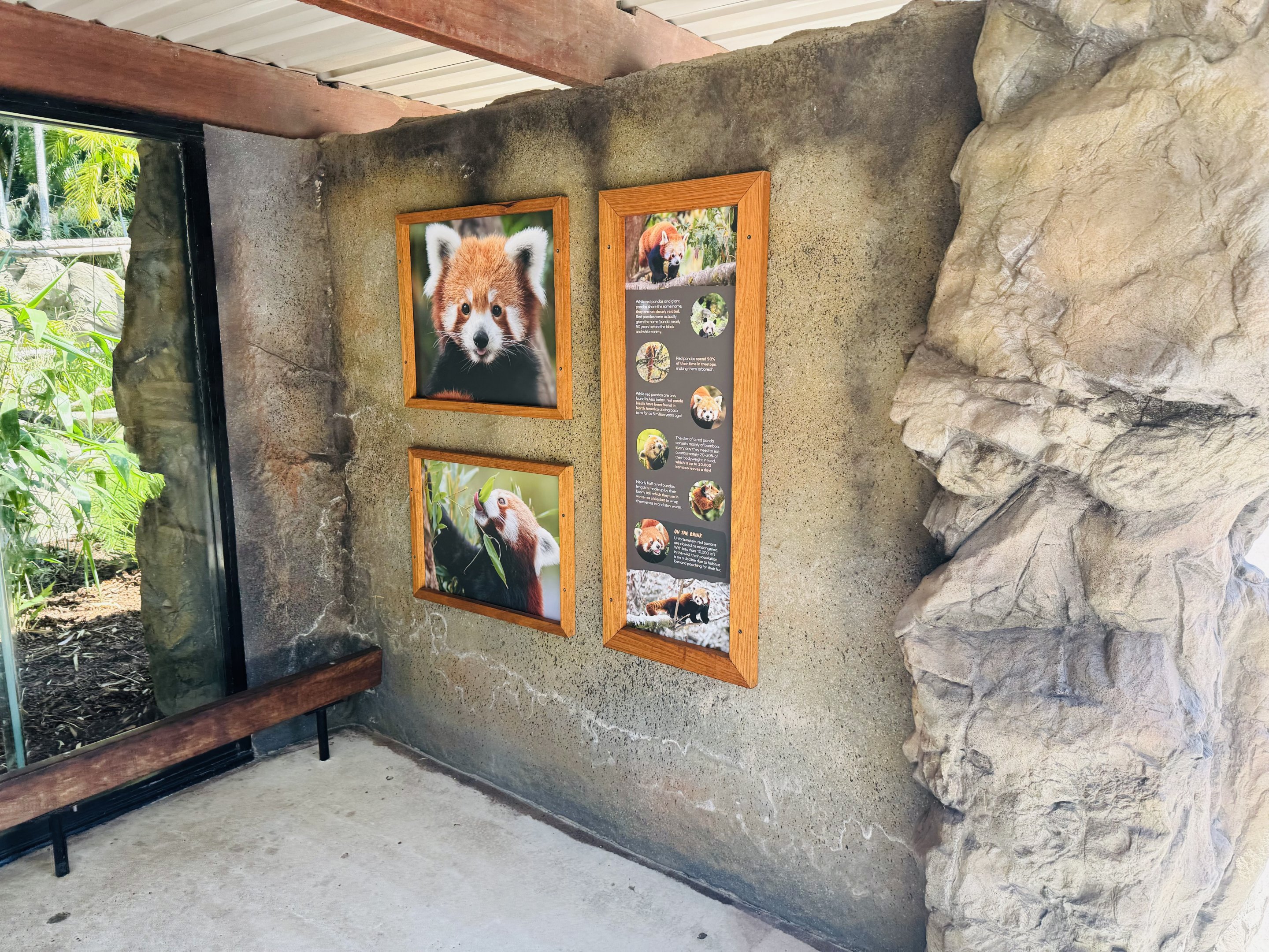 New red panda signage