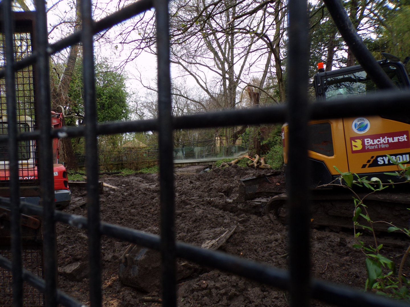New red river hog enclosure construction 9.4.24