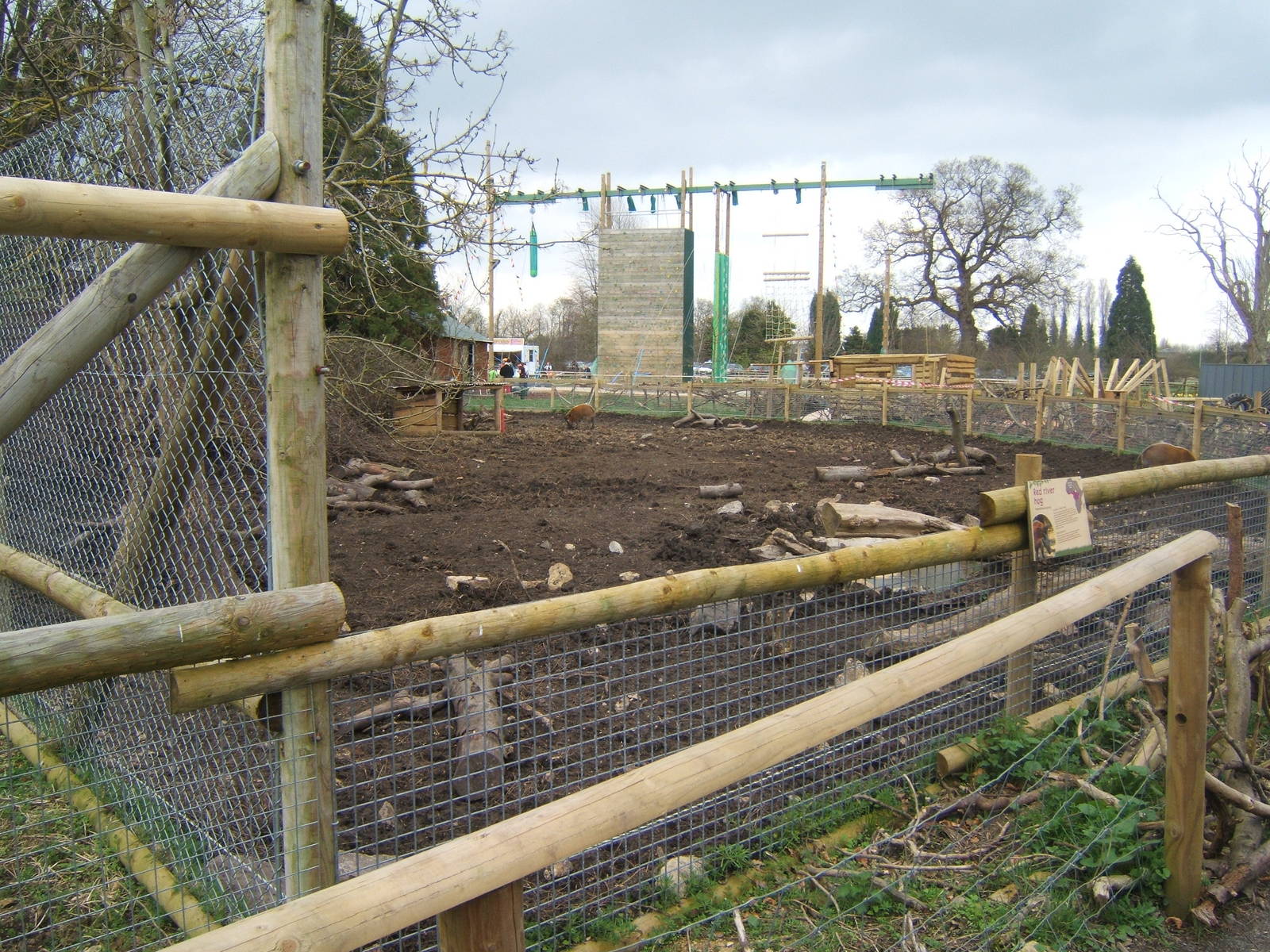 New Red River Hog exhibit