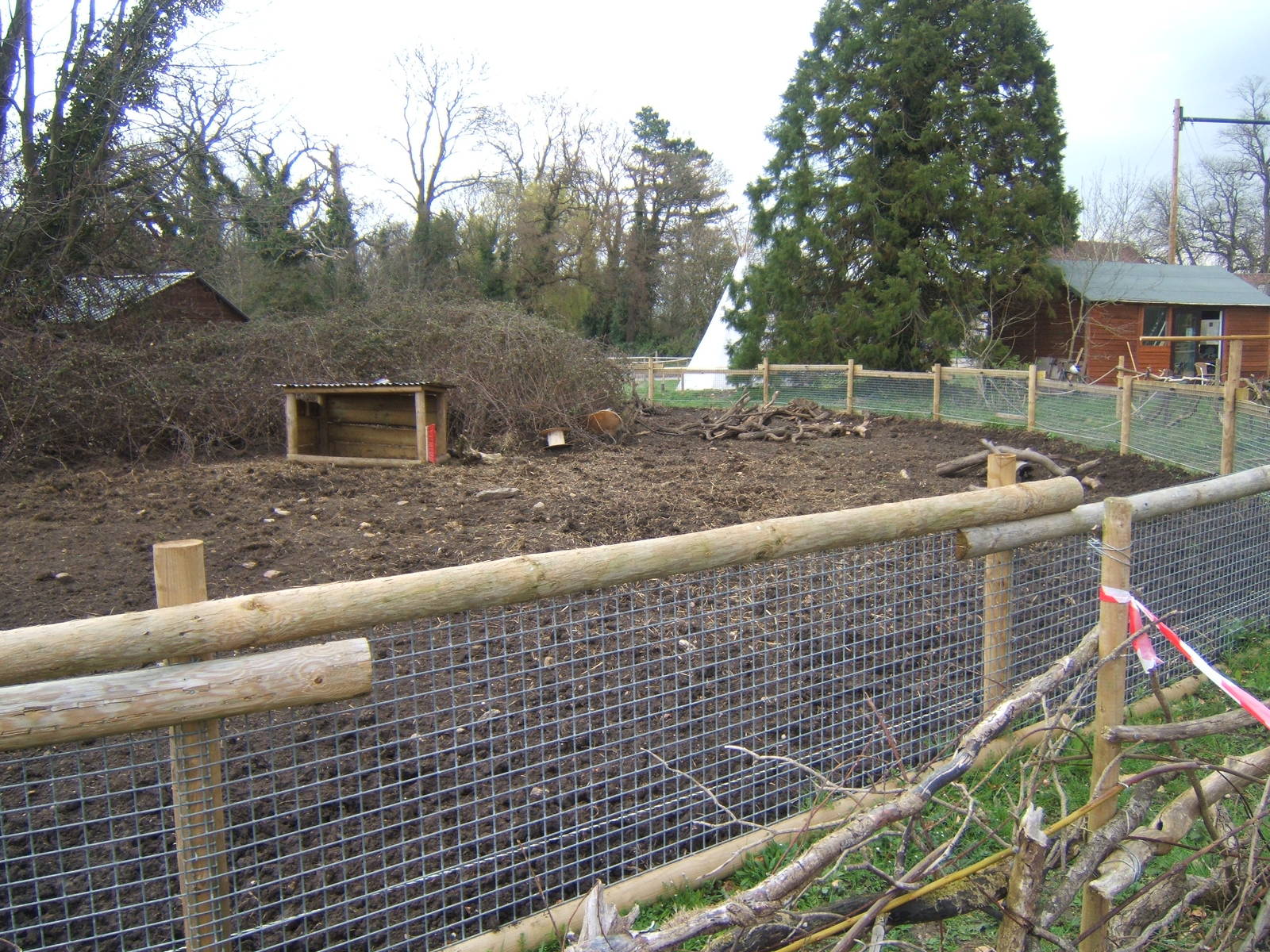 New Red River Hog exhibit
