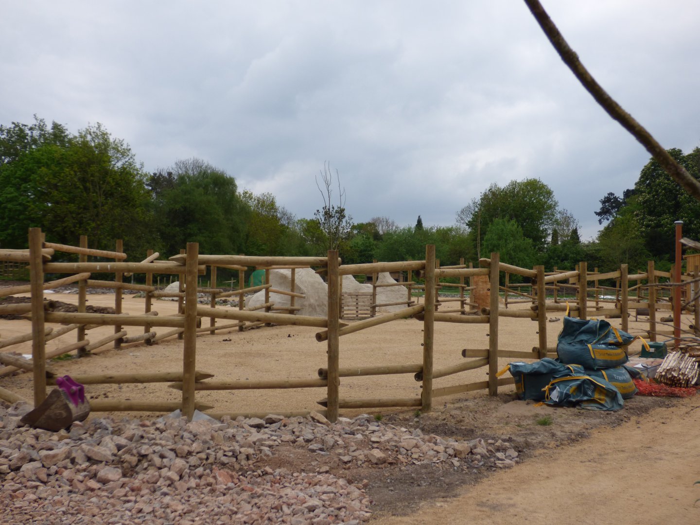 New Red River Hog Paddock
