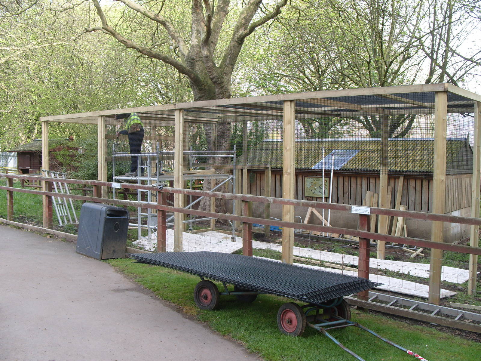 New Red Squirrel Enclosure