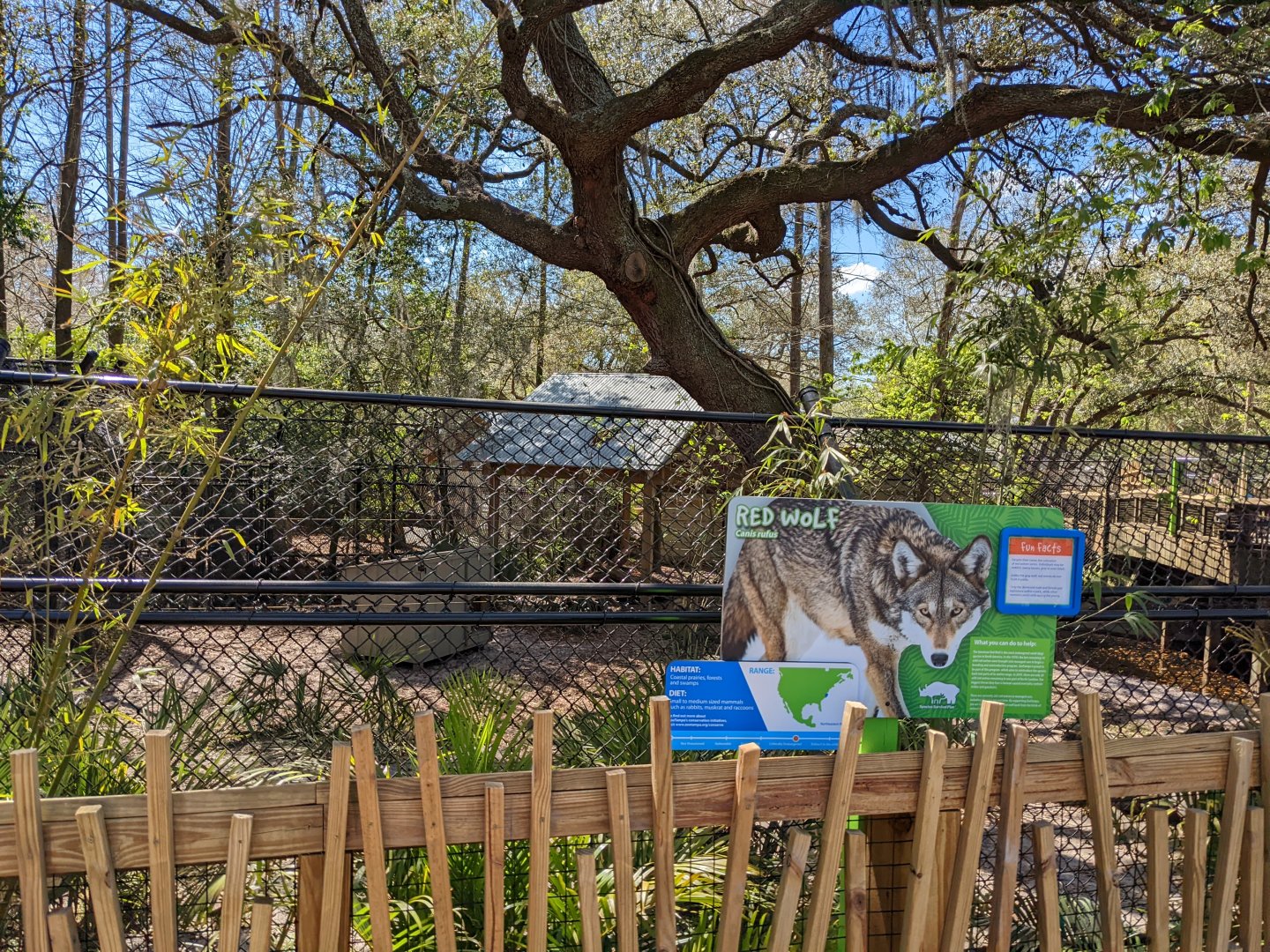 New red wolf habitat