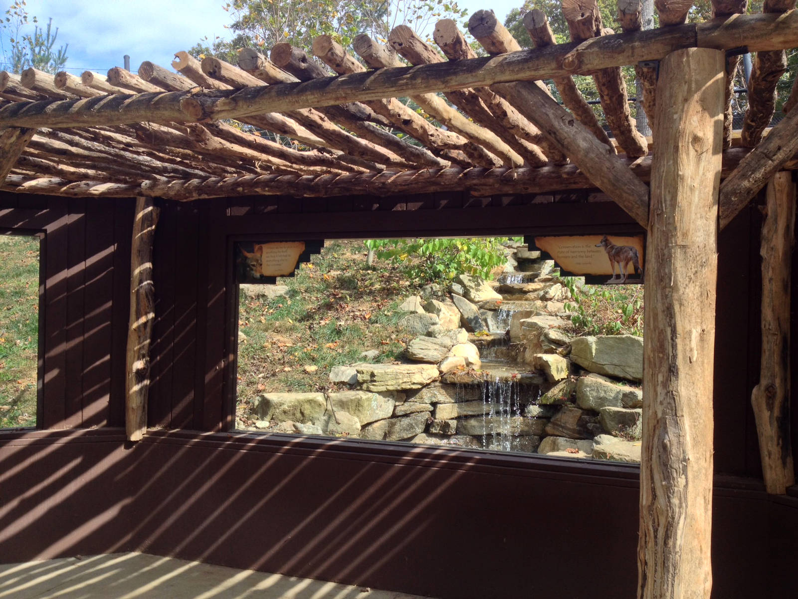 New Red Wolf Viewing - waterfall view