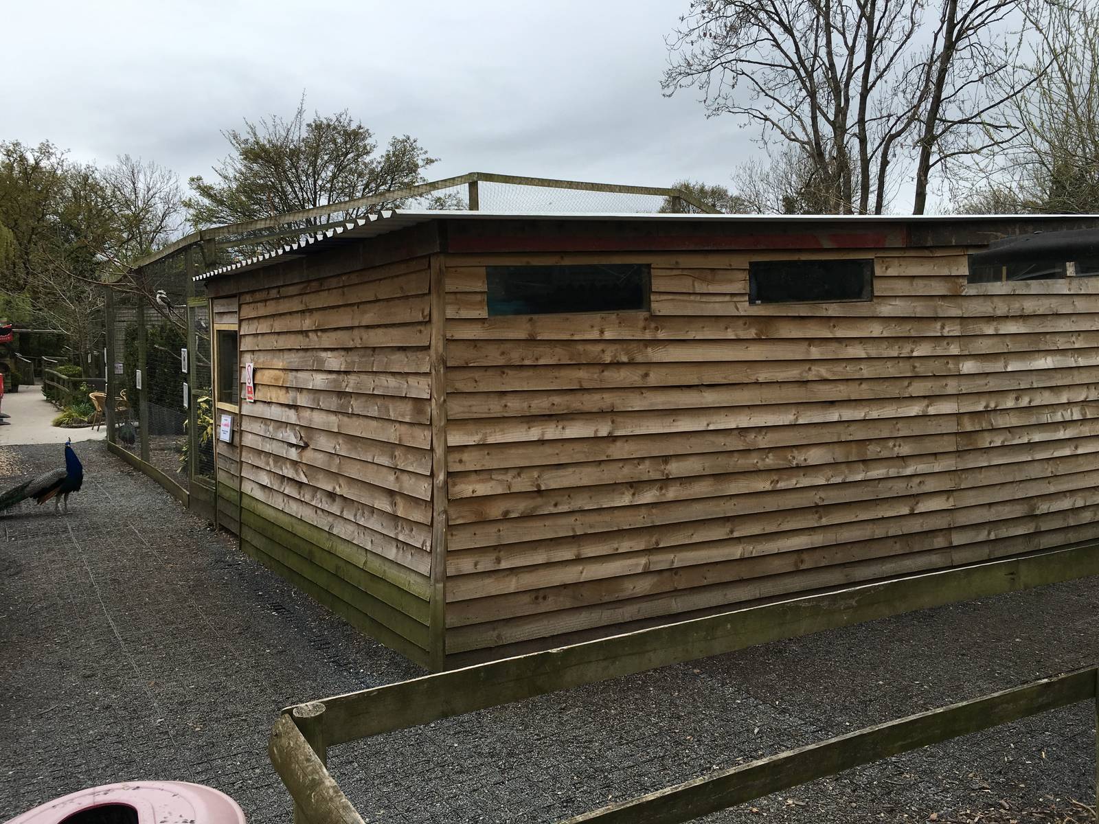 New Reptile and Small Mammal House 010516
