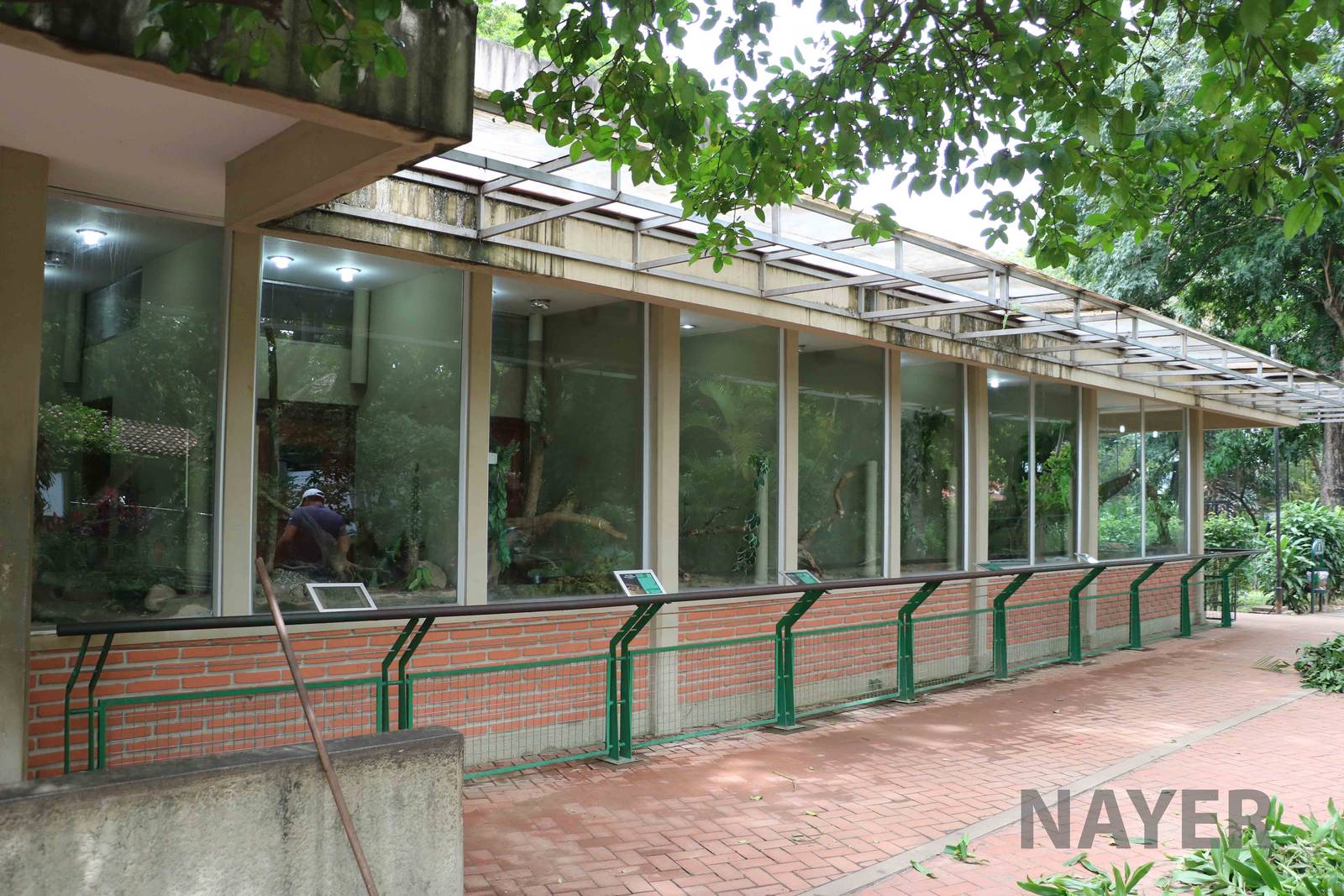 New reptile complex - outdoor area, March 2016