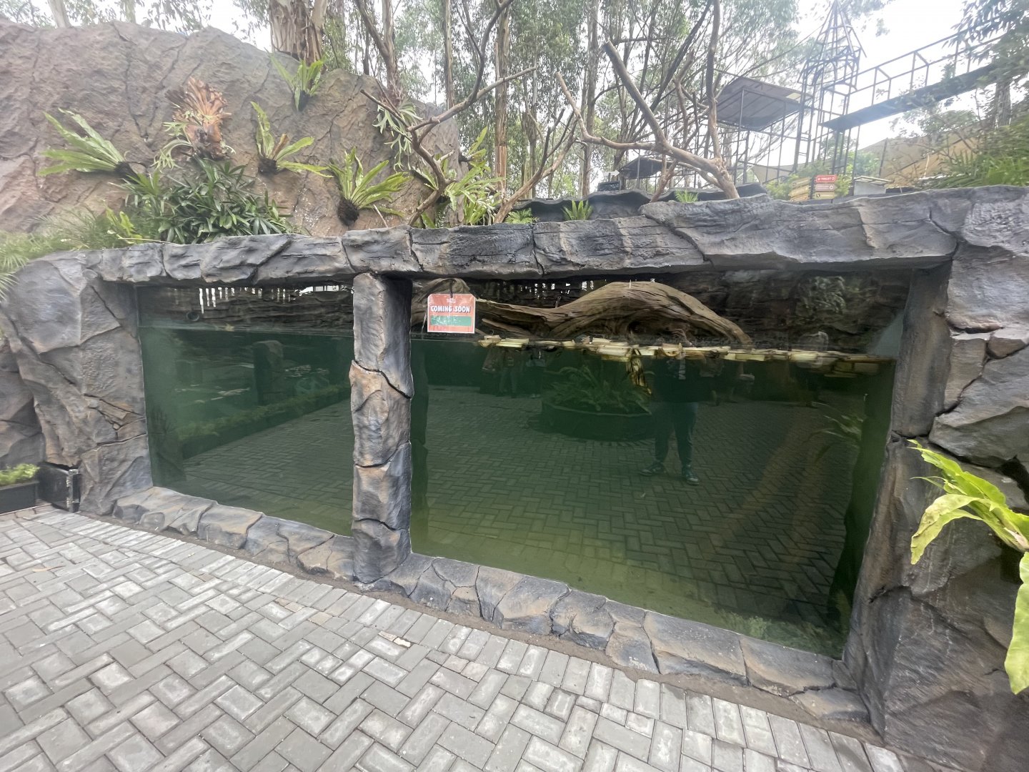 new reptile exhibit (1)