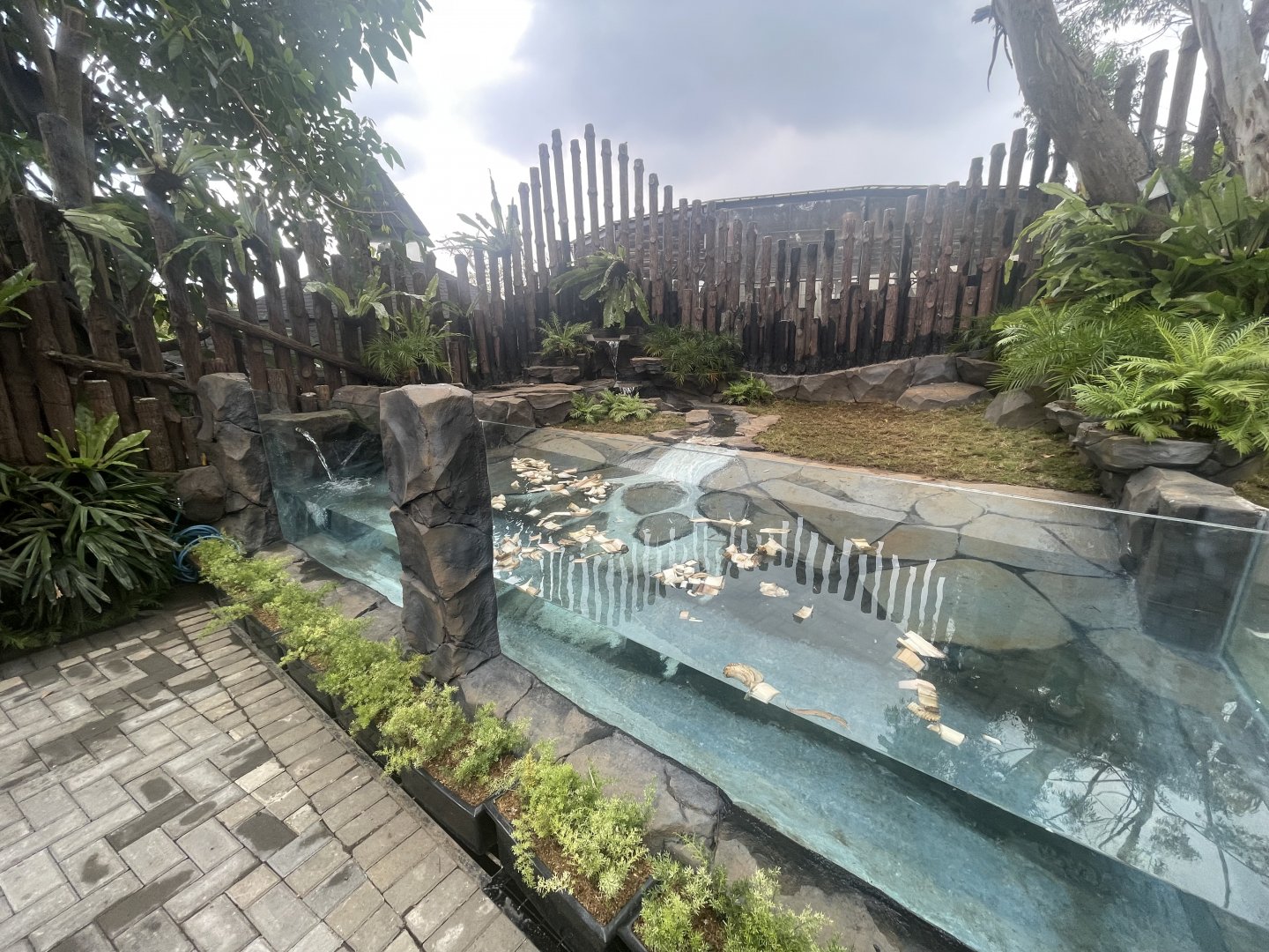 new reptile exhibit (2)