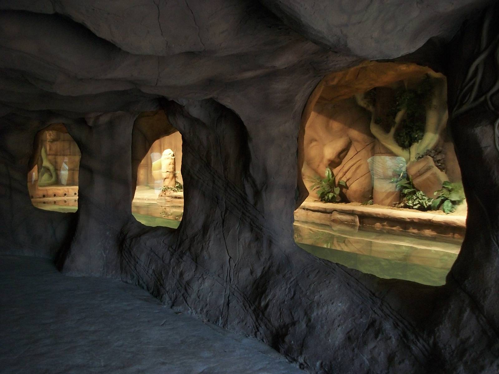 New reptile exhibit 27th December 2012