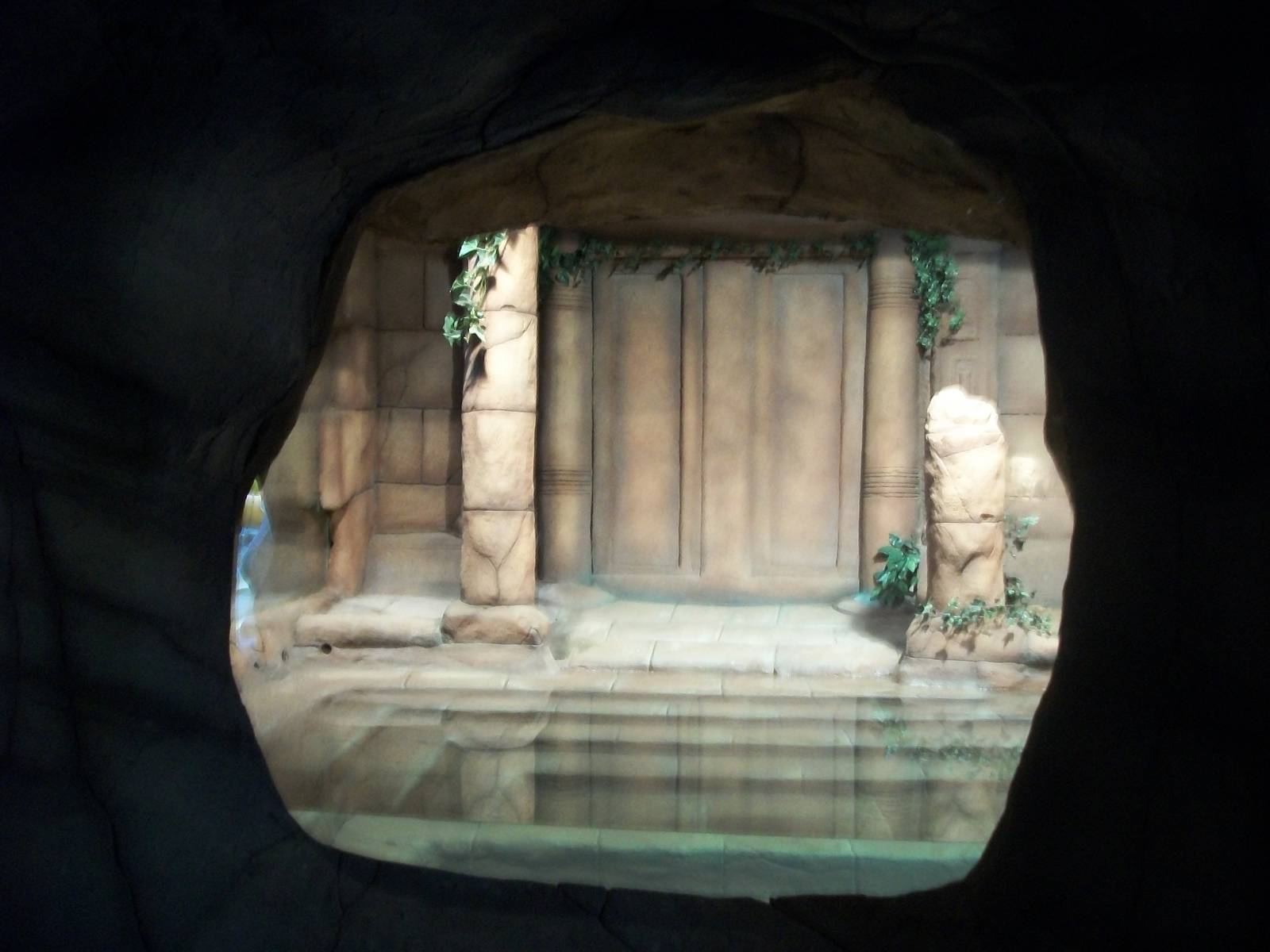 New reptile exhibit 27th December 2012