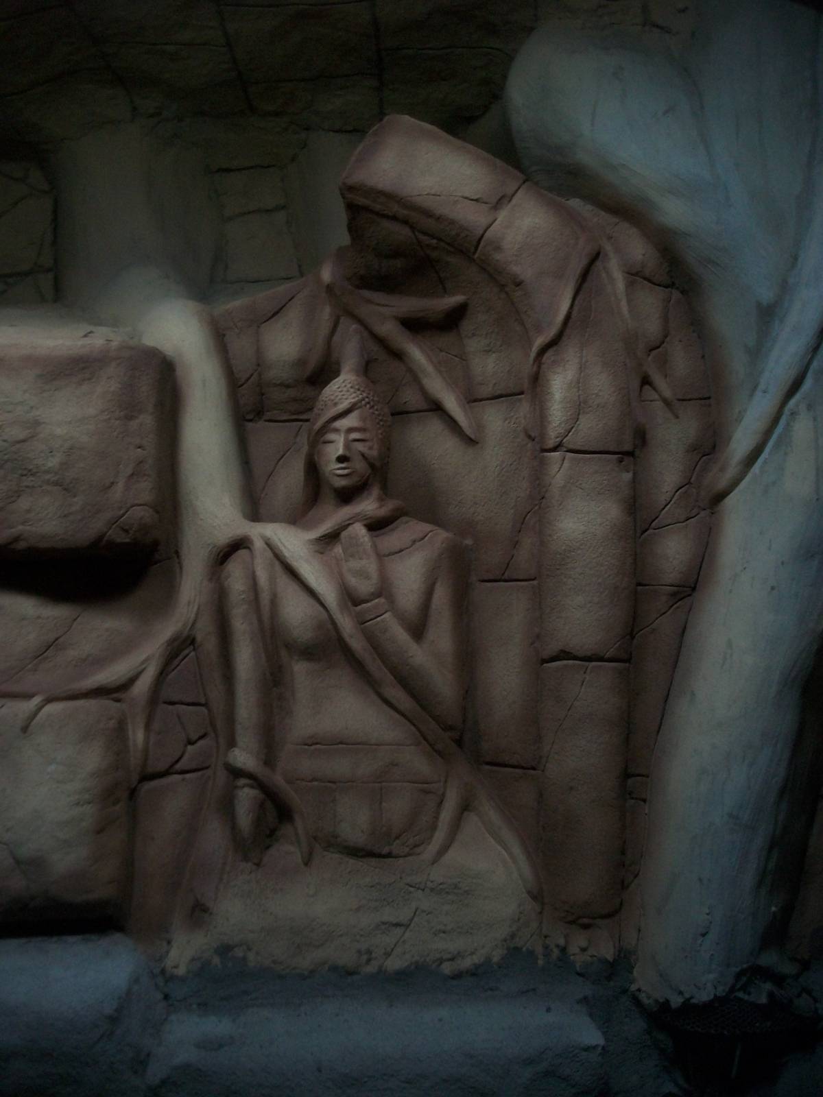 New reptile exhibit 27th December 2012