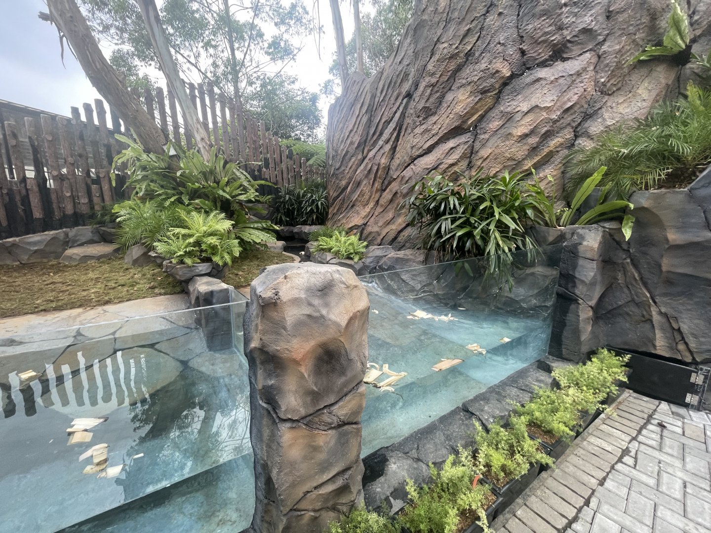 new reptile exhibit (3)