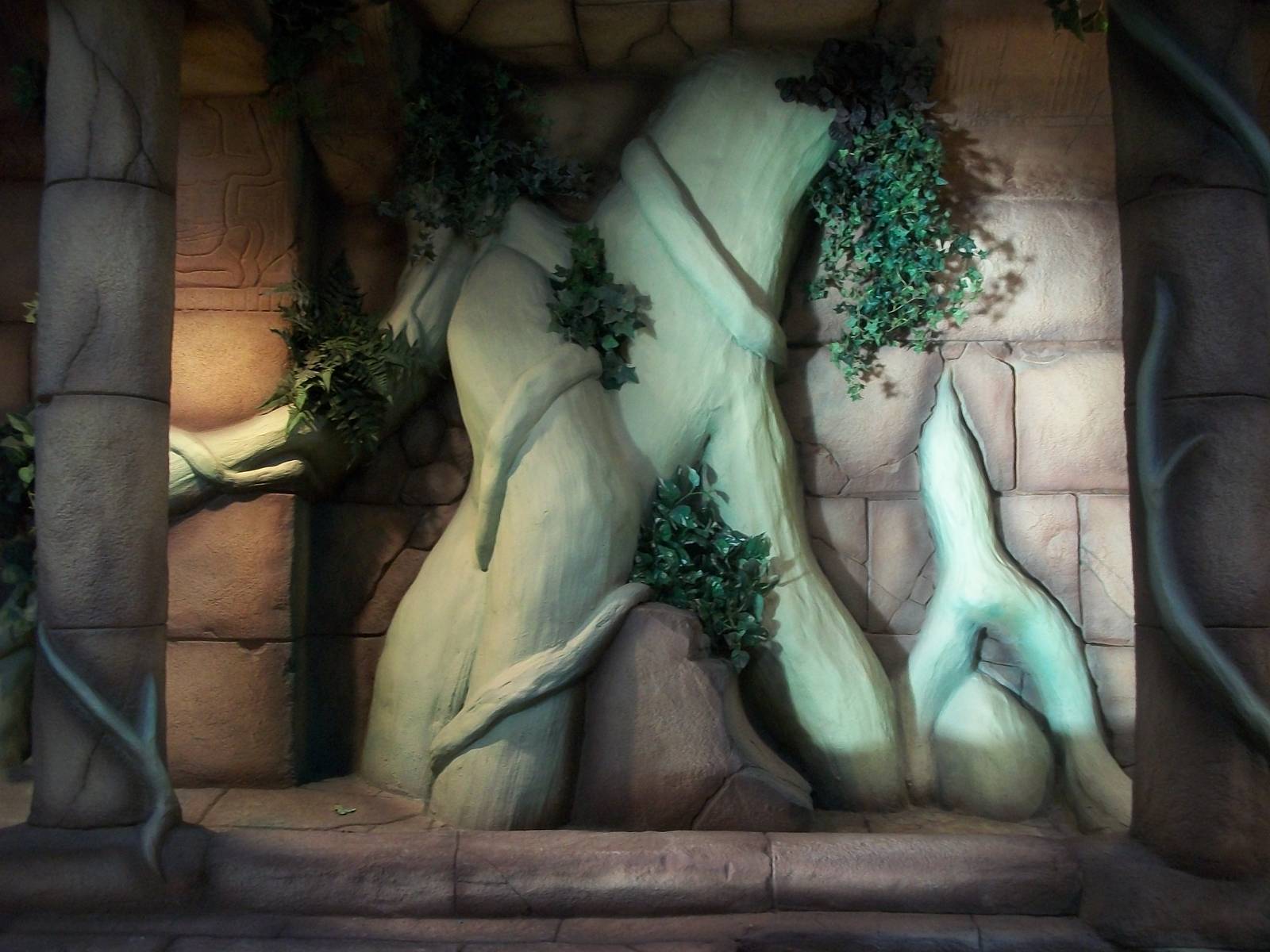 New reptile exhibit 4th January 2013