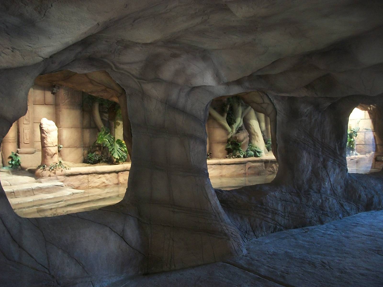 New reptile exhibit 4th January 2013