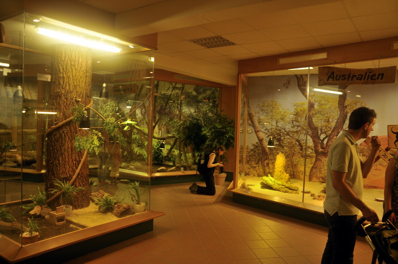 New reptile-house at Lüneburger Heide.