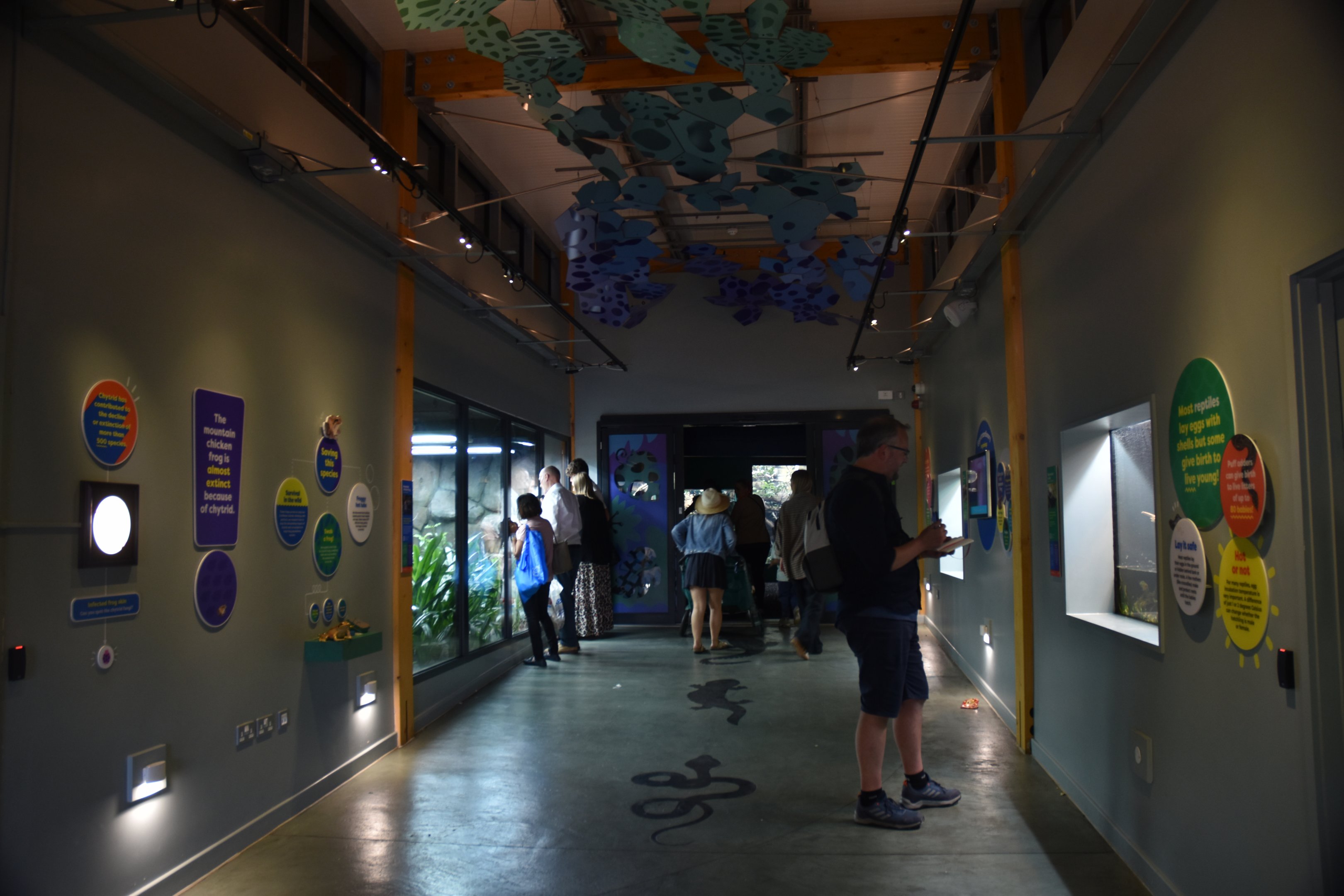 New Reptile House Entrance Corridor at London, 22nd June 2024