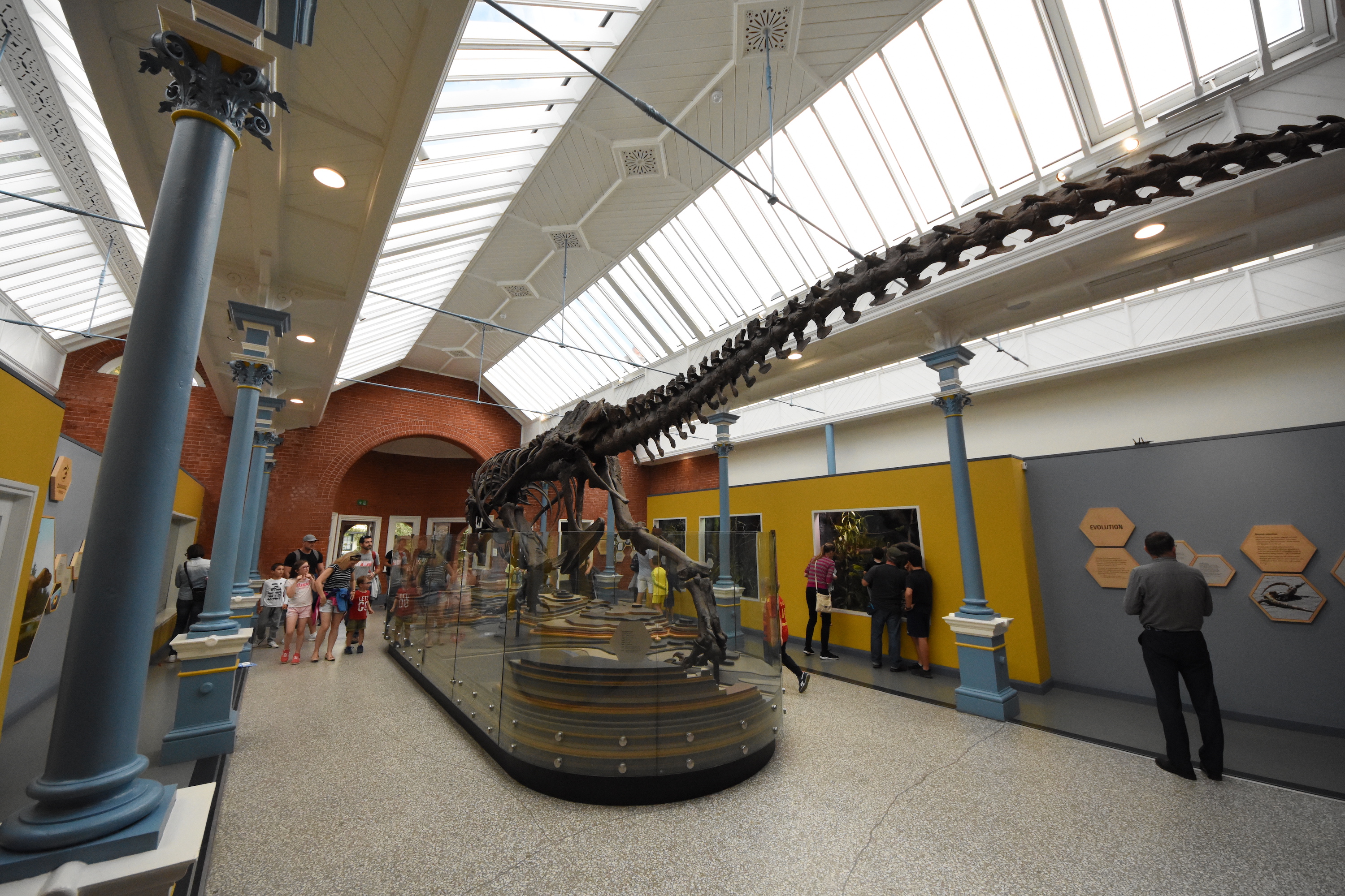 New reptile house - interior