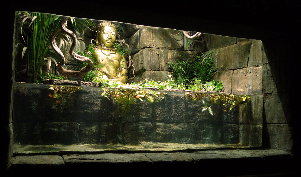 New Reptile House Theming