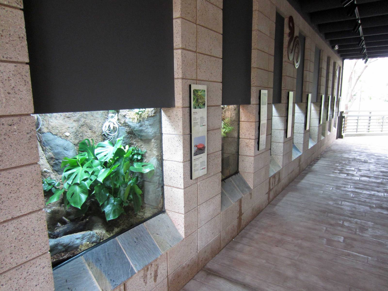 New Reptile Walk - Opened July 4th