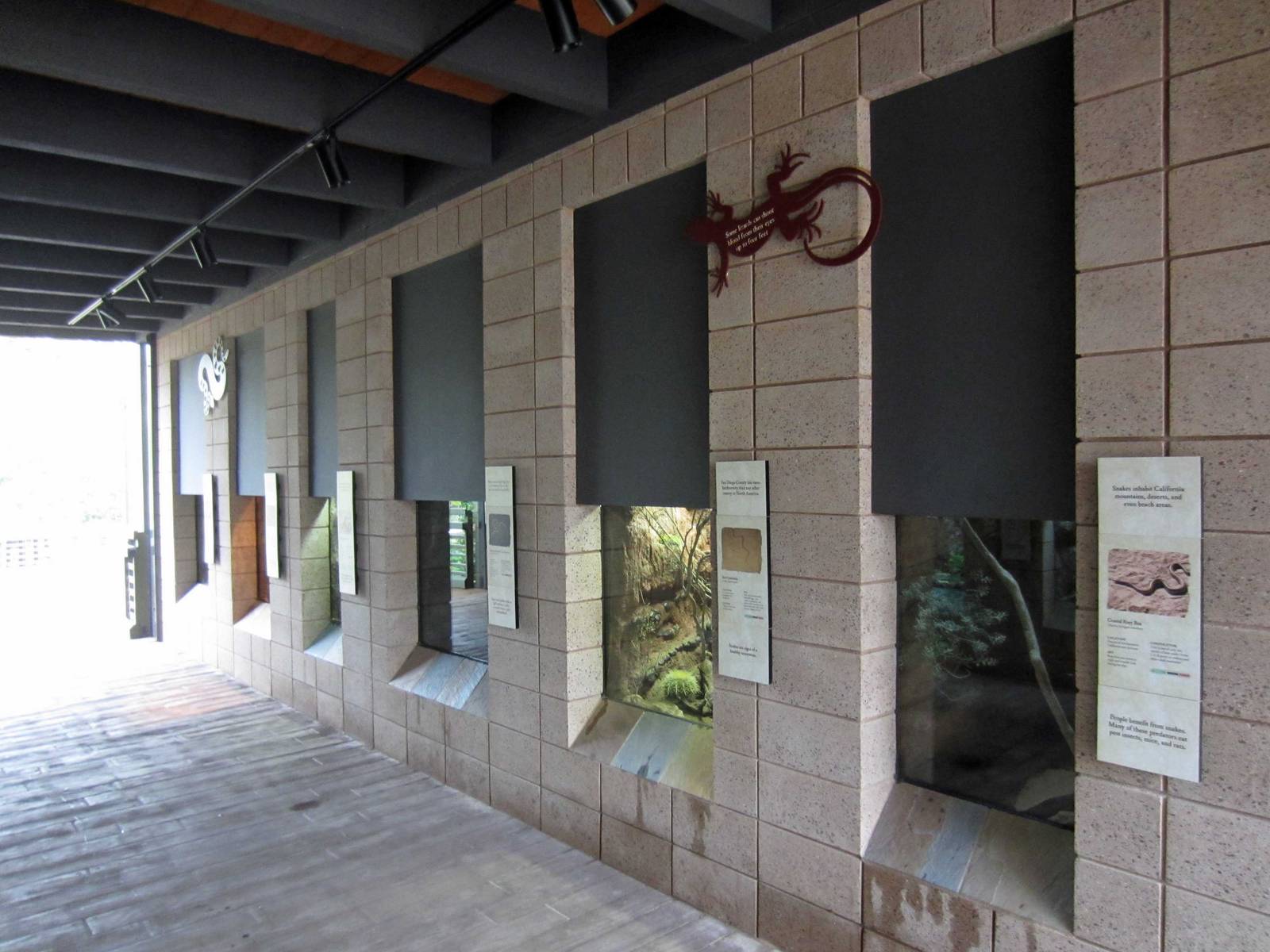 New Reptile Walk - Opened July 4th