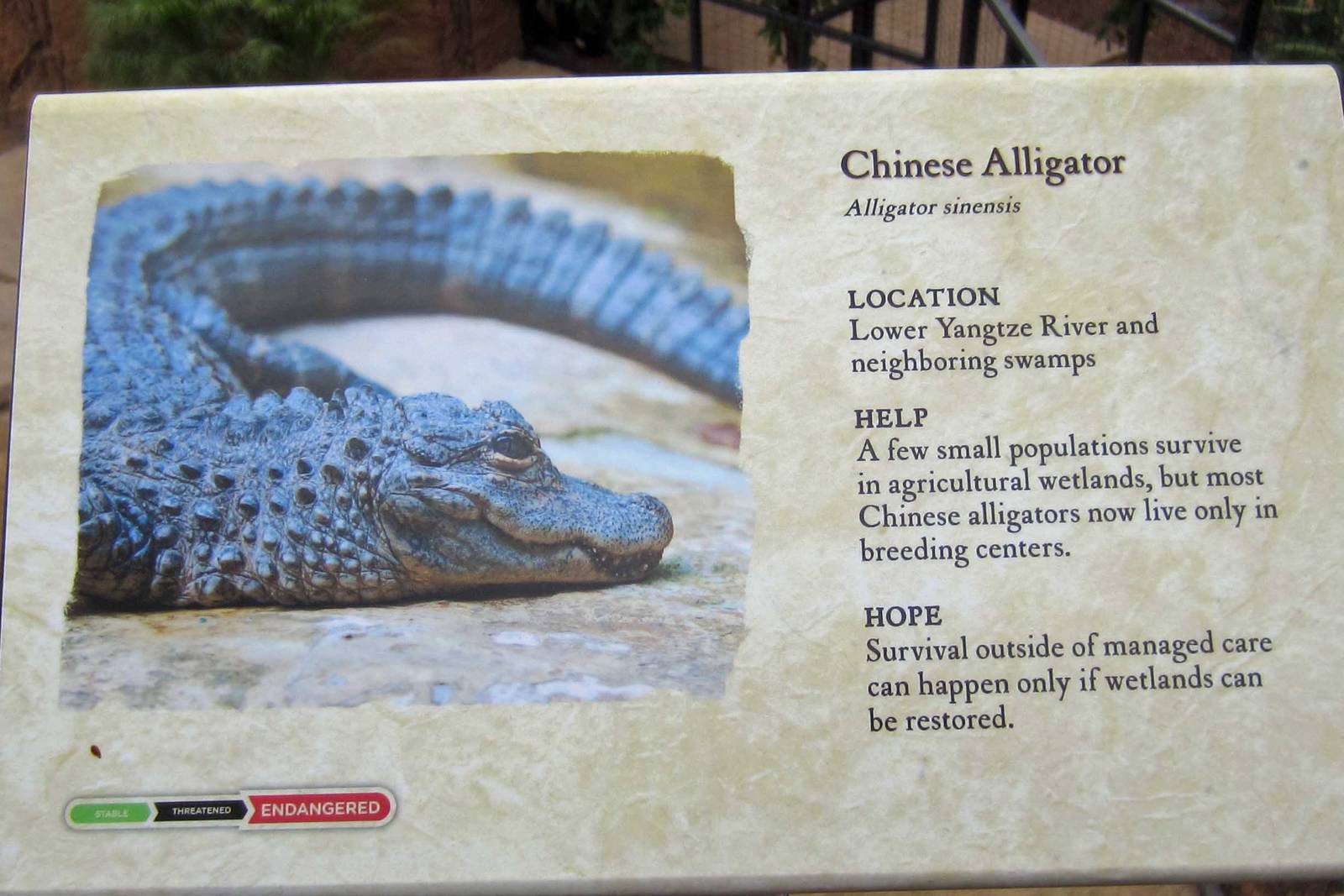 New Reptile Walk - Opened July 4th