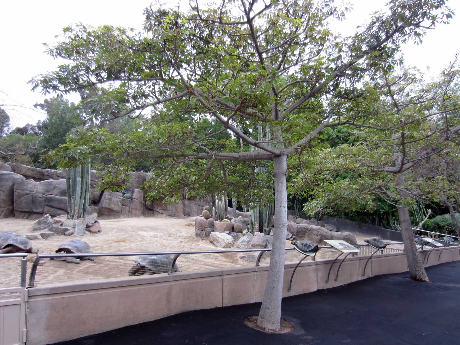 New Reptile Walk - Opened July 4th